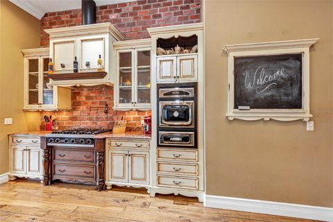 Tiny photo for 29030 Can Do Lane, Tavares, FL 32778 (MLS # V4944983)