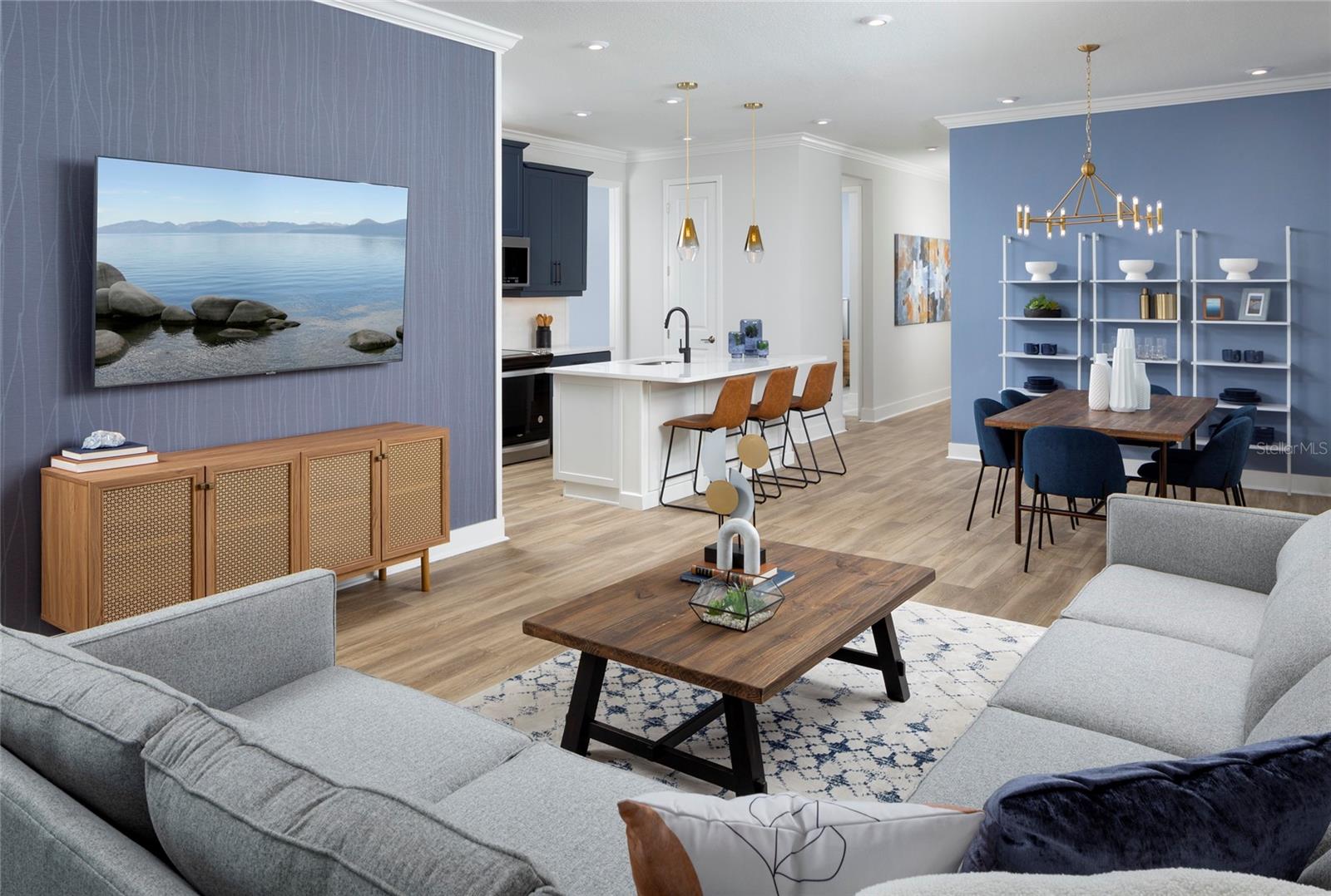 THE PRESERVE AT LA PALOMA - Residential