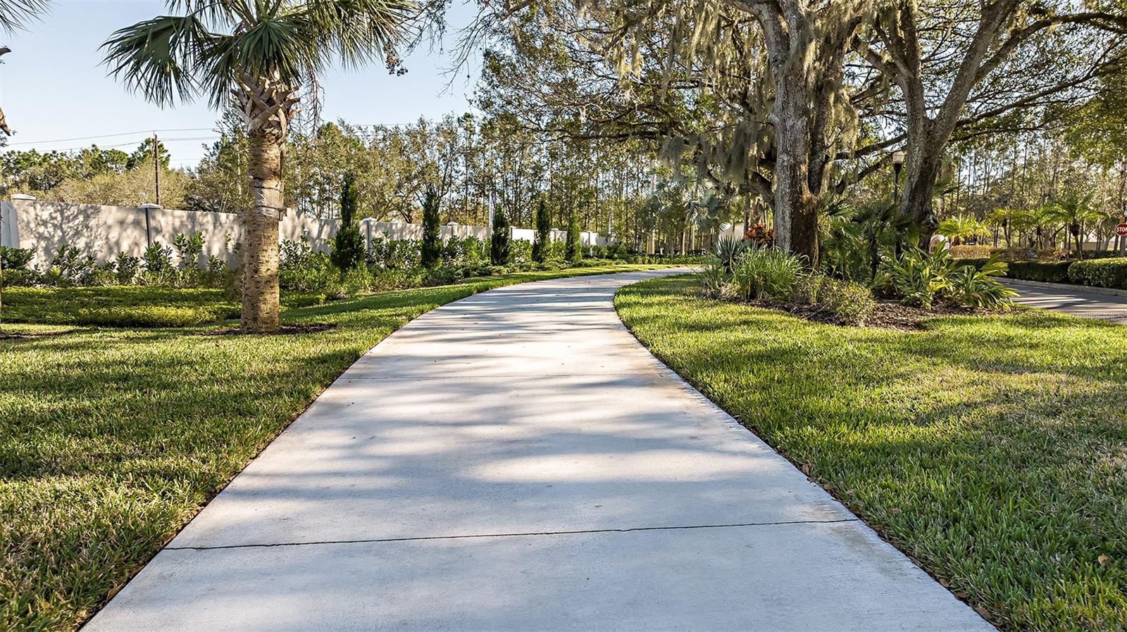 THE PRESERVE AT LA PALOMA - Residential