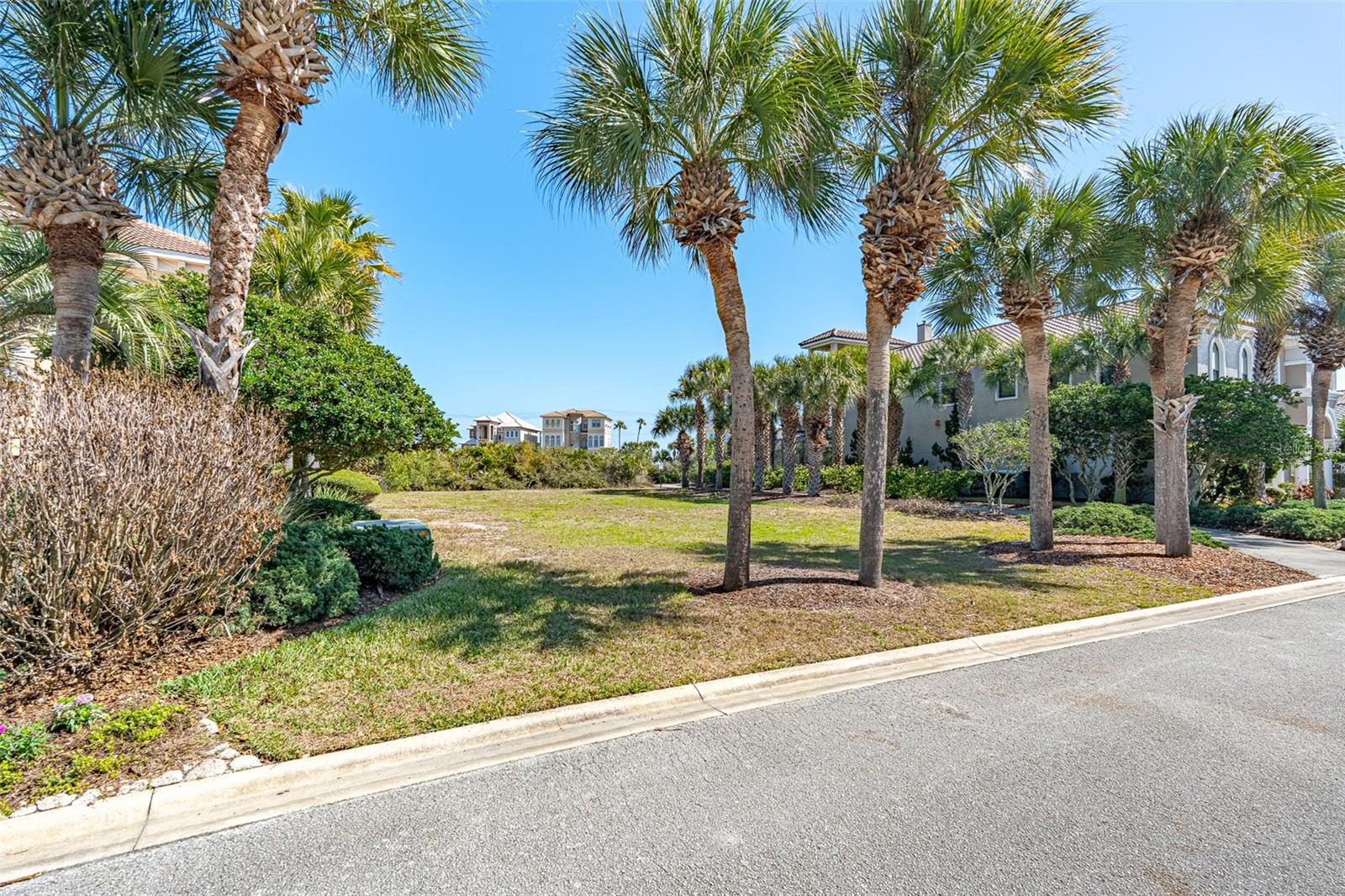 OCEAN HAMMOCK - Land