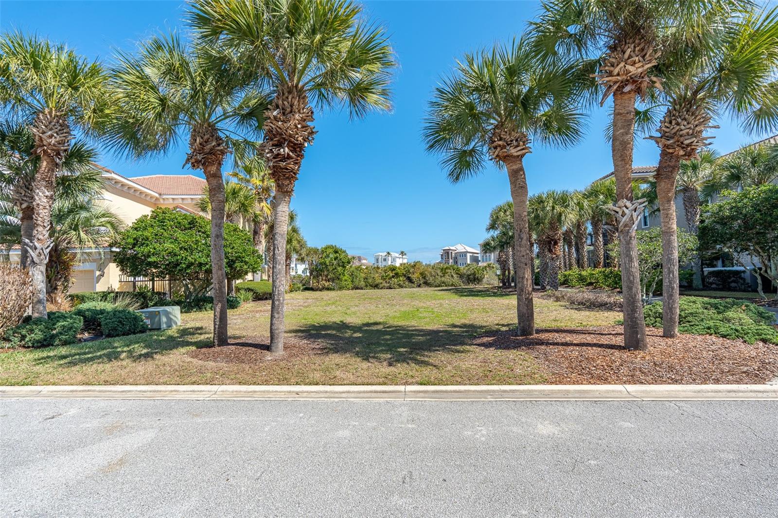 OCEAN HAMMOCK - Land