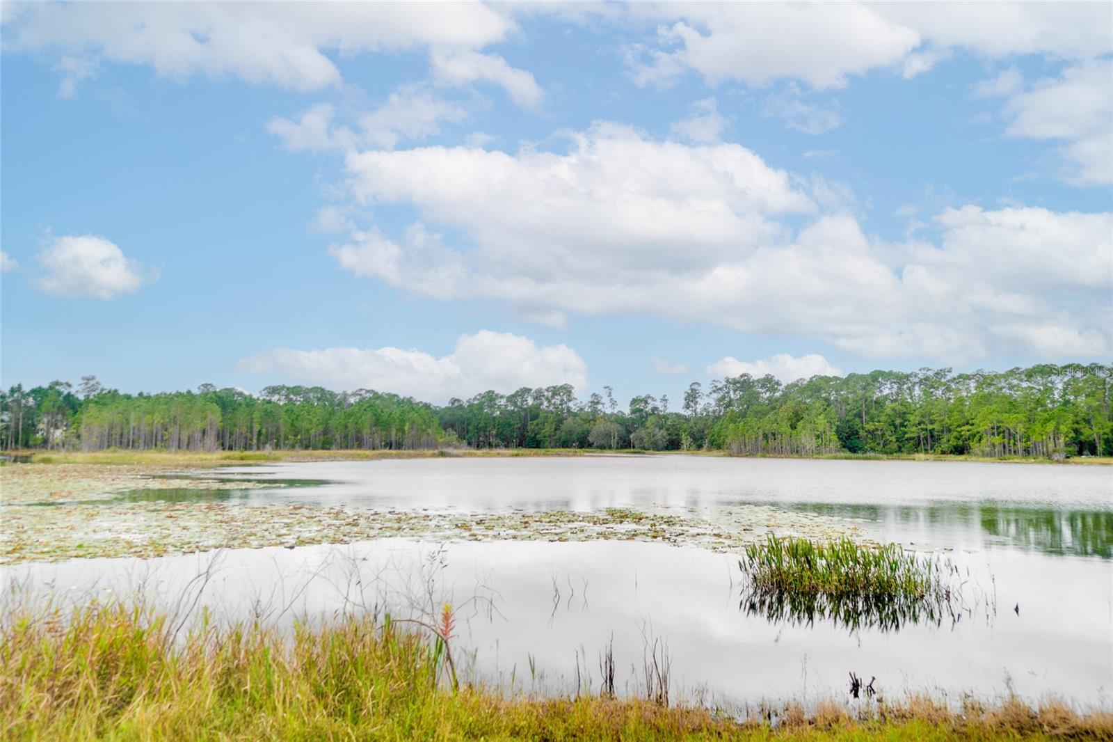 CHASE TWNHMS - Residential