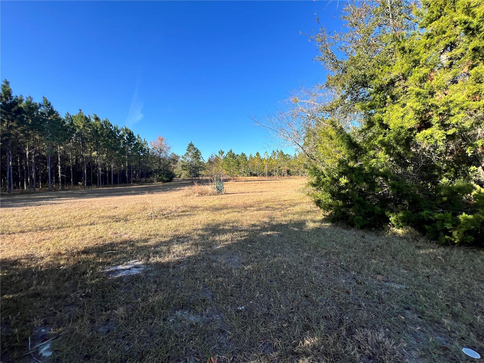 12250-B NW US HWY 19 N