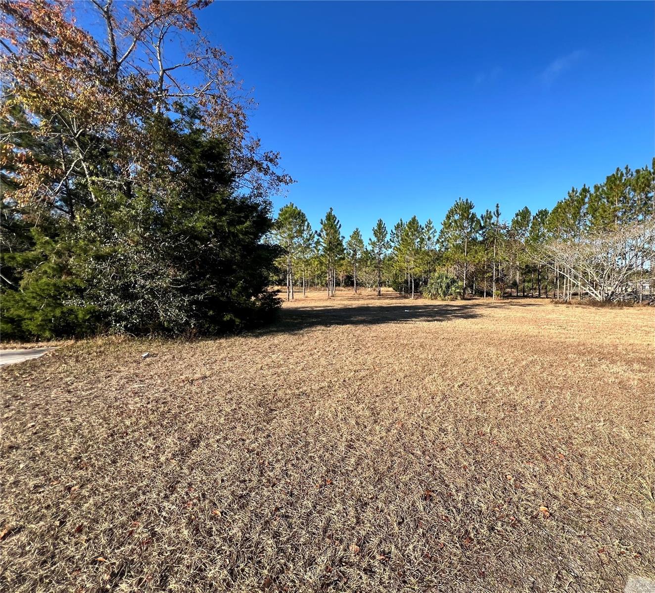 12250-B NW US HWY 19 N