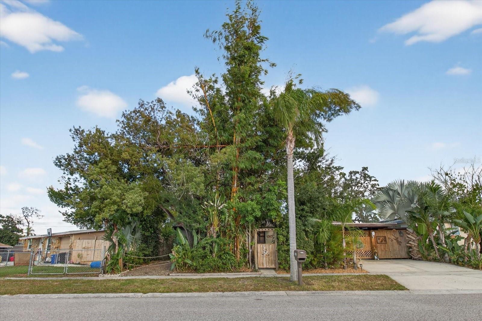 FOREST HILLS - Residential