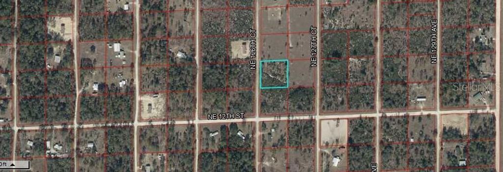 Photo of Northeast 126 Court, Williston, FL 32696 (MLS # C7519045)