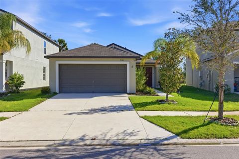 Photo of 5161 White Chicory Drive, Apollo Beach, FL 33572 (MLS # TB8465400)