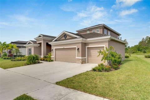 A home in APOLLO BEACH