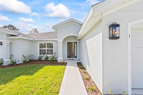 A home in PALM COAST