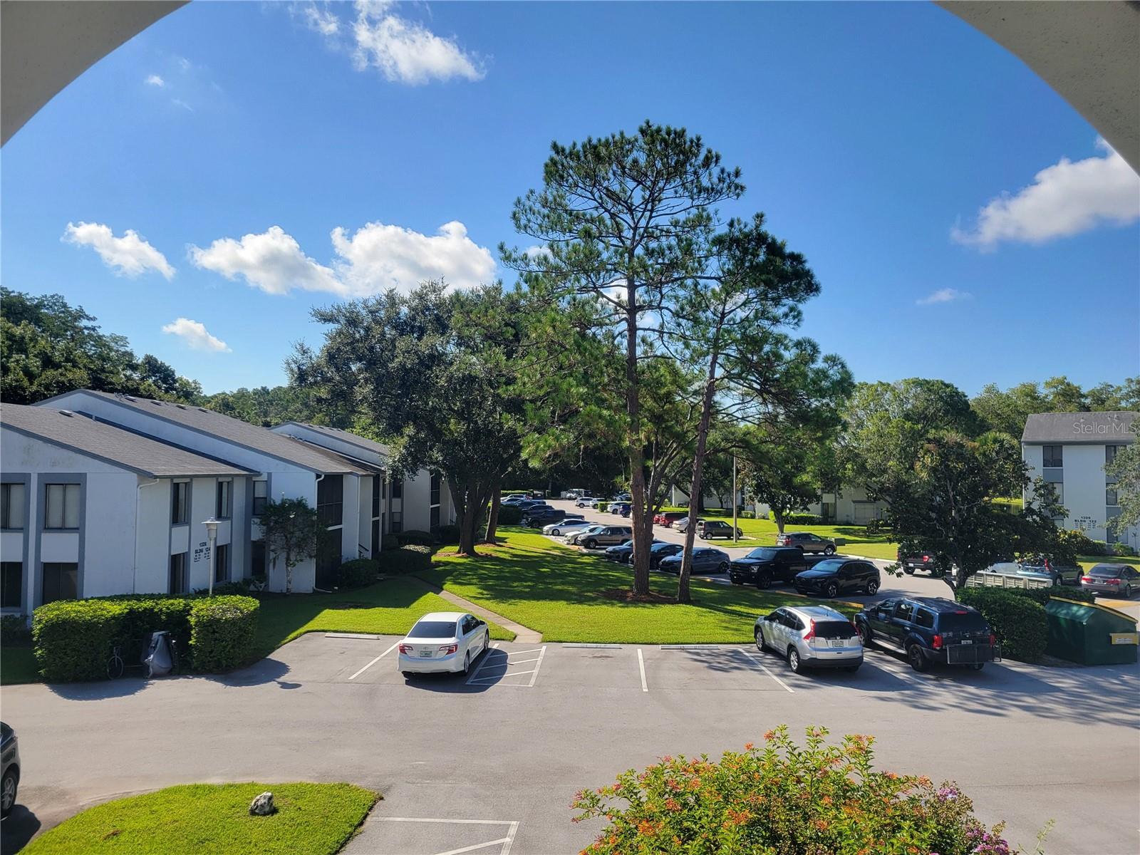 PINE RIDGE AT LAKE TARPON VILLAGE - Residential Lease