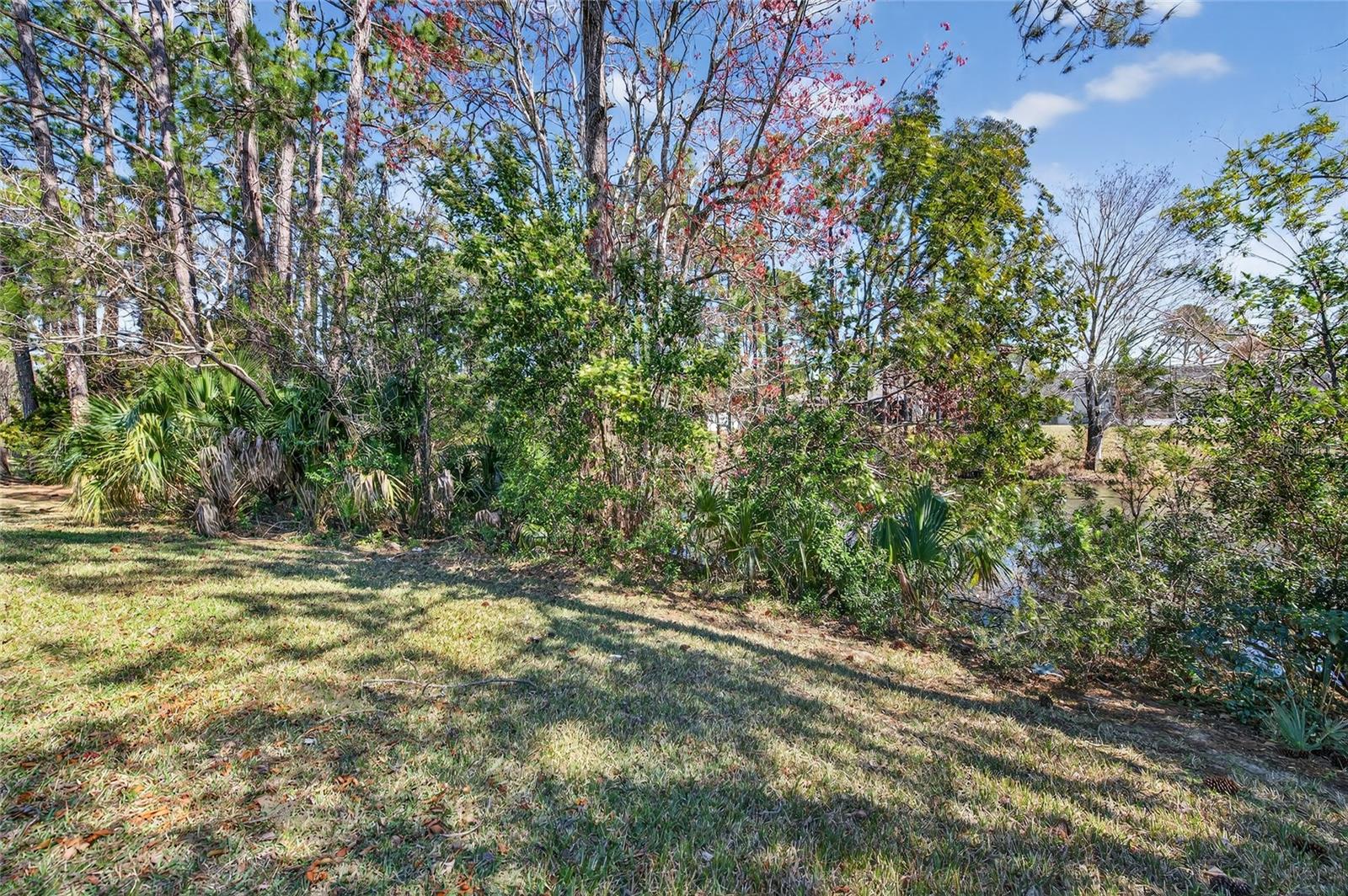 PALM COAST SEC 19 - Residential