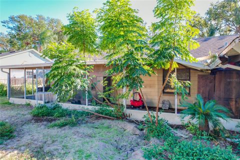 A home in EUSTIS