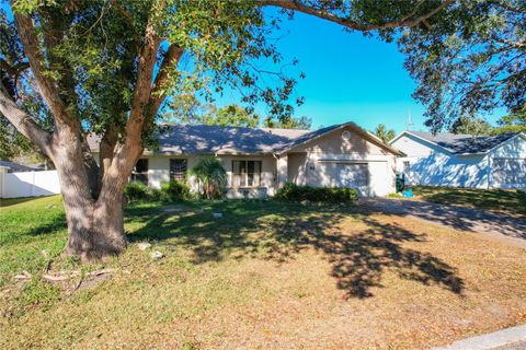 A home in EUSTIS