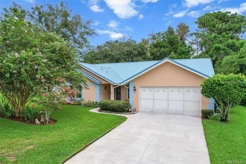 Photo of 25 Redbay Court W, Homosassa, FL 34446 (MLS # OM708268) Photo of 25 Redbay Court W, Homosassa, FL 34446 (MLS # OM708268)