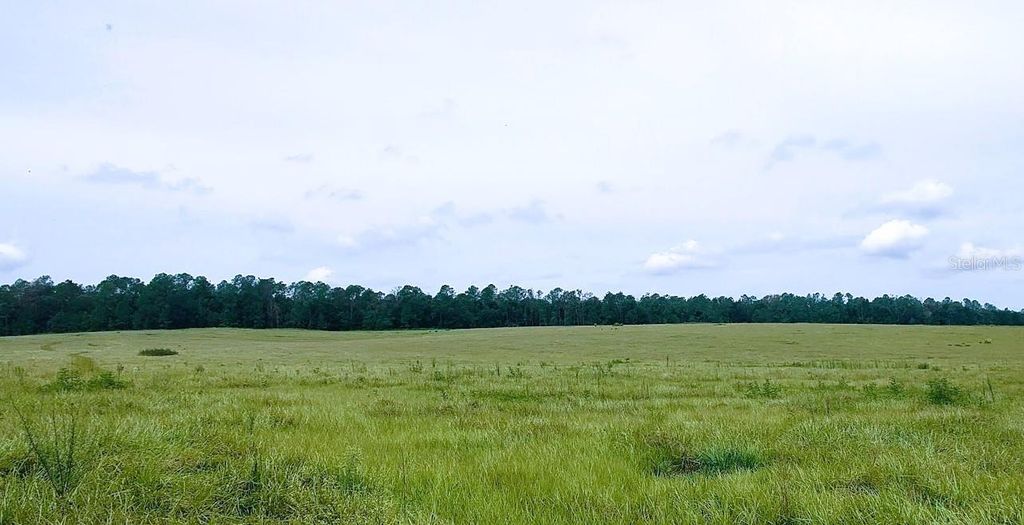 Photo of 0 Hilltop Horizons Place, Dade City, FL 33525 (MLS # TB8401617)