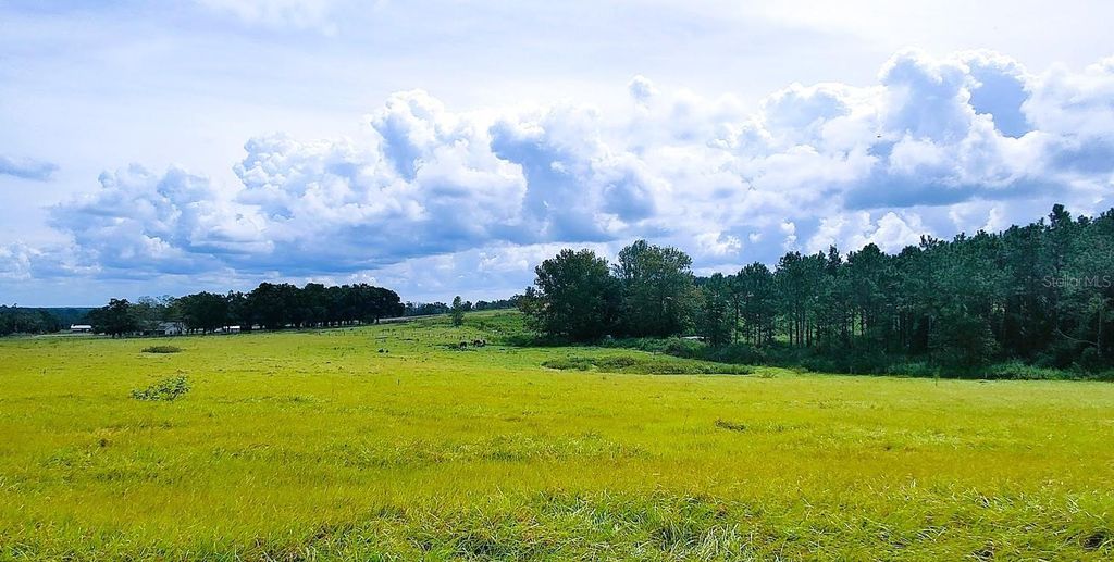 Photo of 0 Hilltop Horizons Place, Dade City, FL 33525 (MLS # TB8401617)
