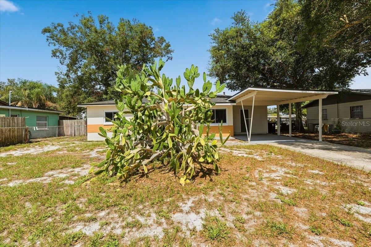 813 ELLERBE WAY