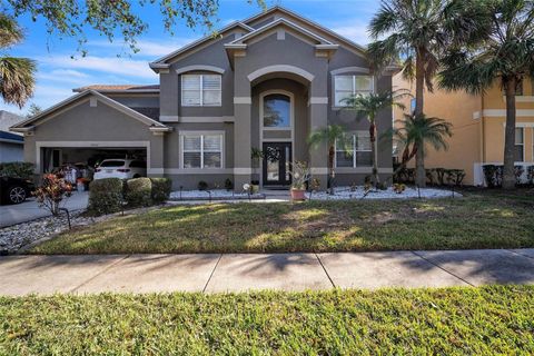 A home in RIVERVIEW