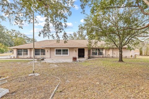 Photo of 1232 Barranca Avenue, Spring Hill, FL 34609 (MLS # TB8484503)