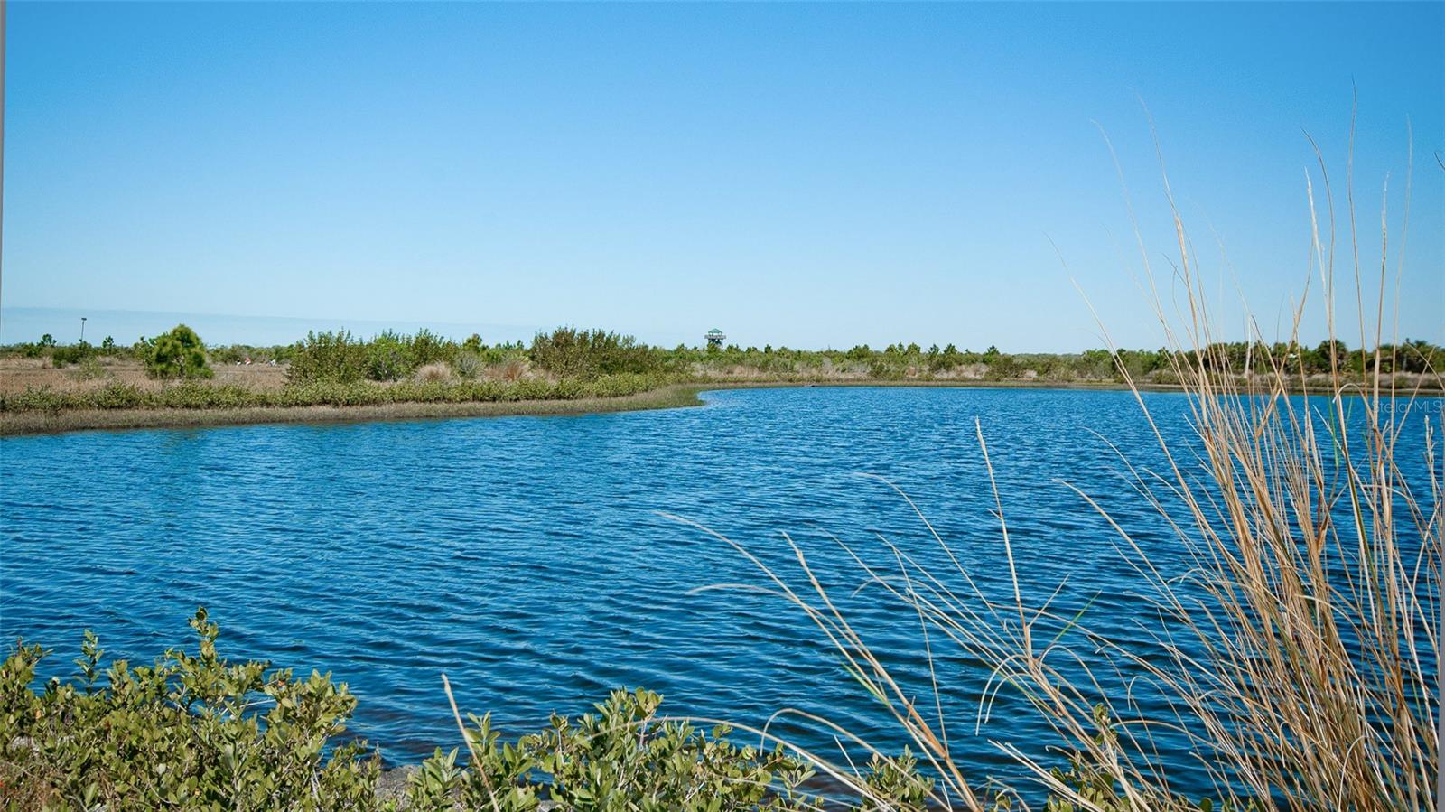 PARADISE BAY ESTATES CO-OP - Residential