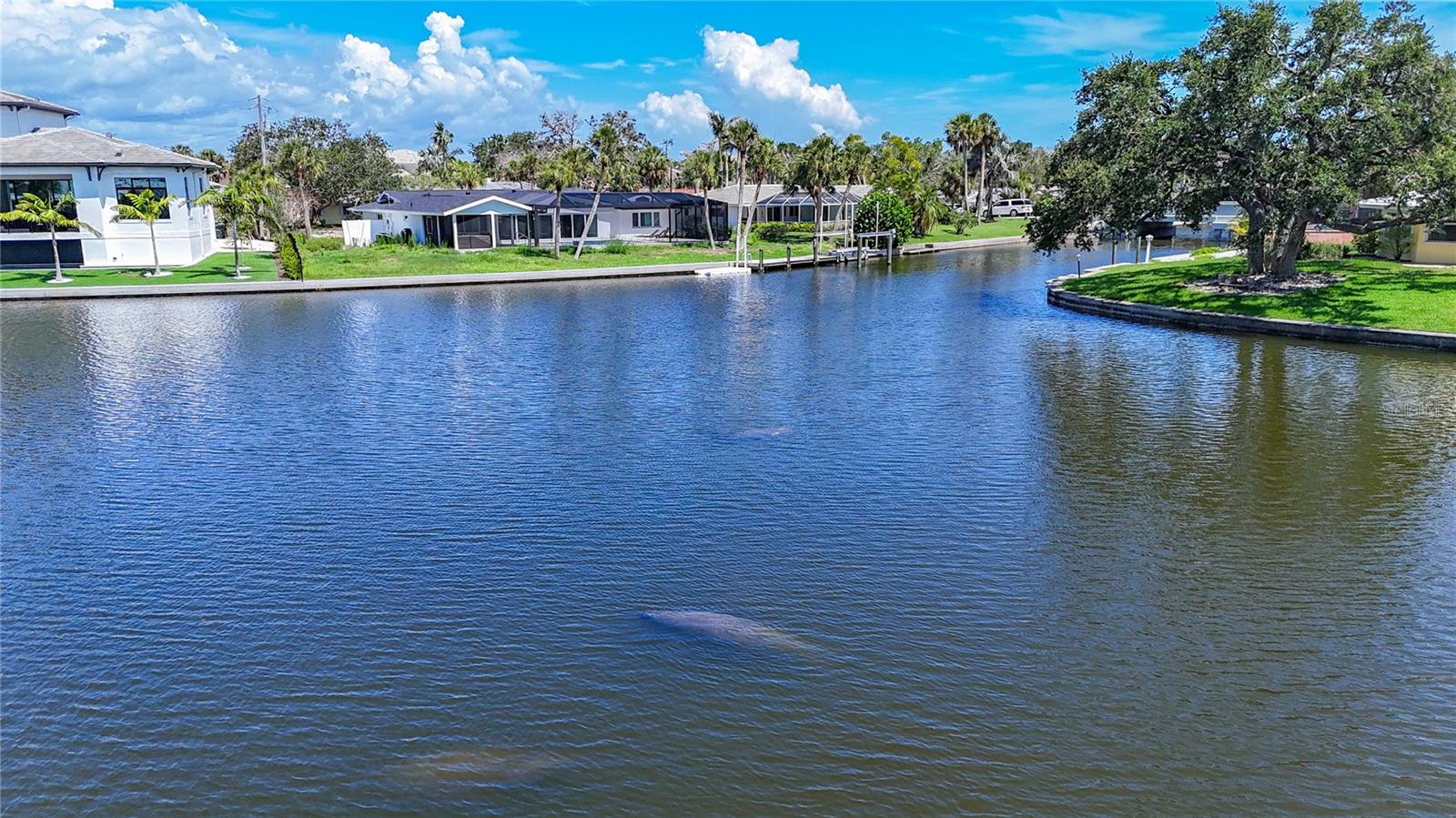5572 SHADOW LAWN DRIVE