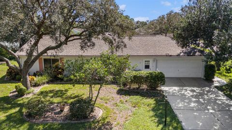 A home in SPRING HILL