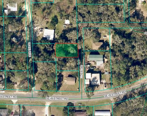 4780 SE 161ST COURT OCKLAWAHA FL 32179