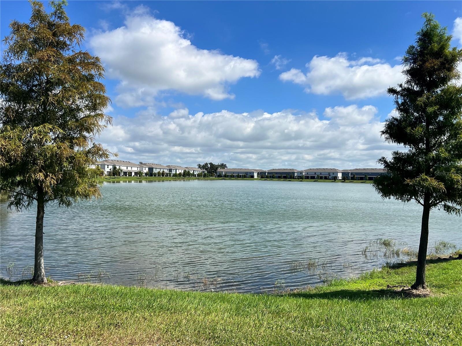 MANGROVE POINT PH 1 - Residential Lease