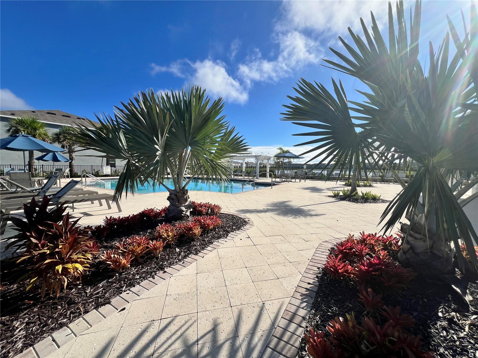 MANGROVE POINT PH 1 - Residential Lease