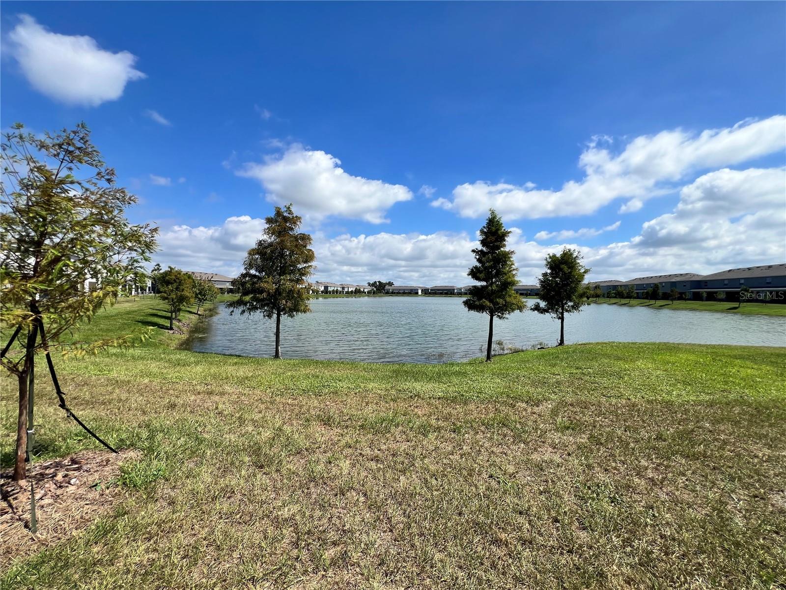 MANGROVE POINT PH 1 - Residential Lease