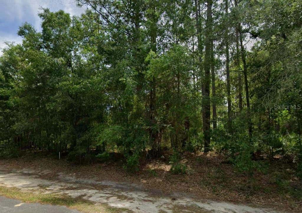Photo of 660 W Anderson Lane, Citrus Springs, FL 34434 (MLS # OM730057)