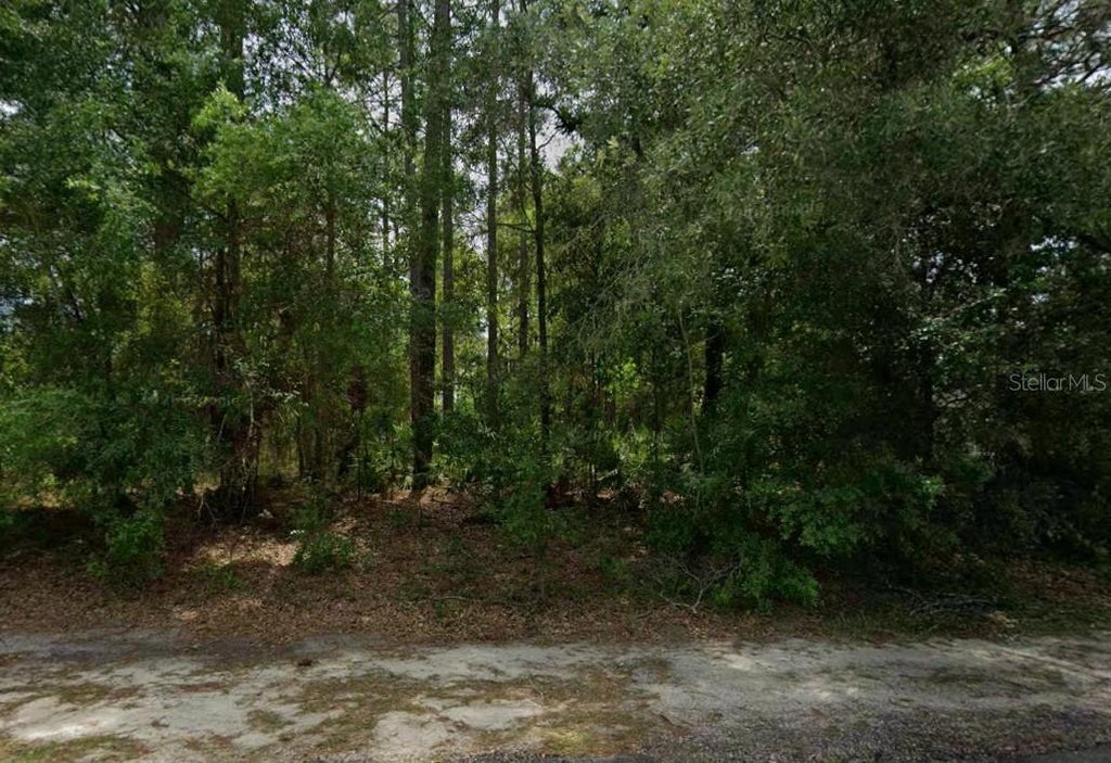 Photo of 660 W Anderson Lane, Citrus Springs, FL 34434 (MLS # OM730057)