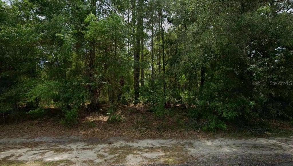 Photo of 660 W Anderson Lane, Citrus Springs, FL 34434 (MLS # OM730057)