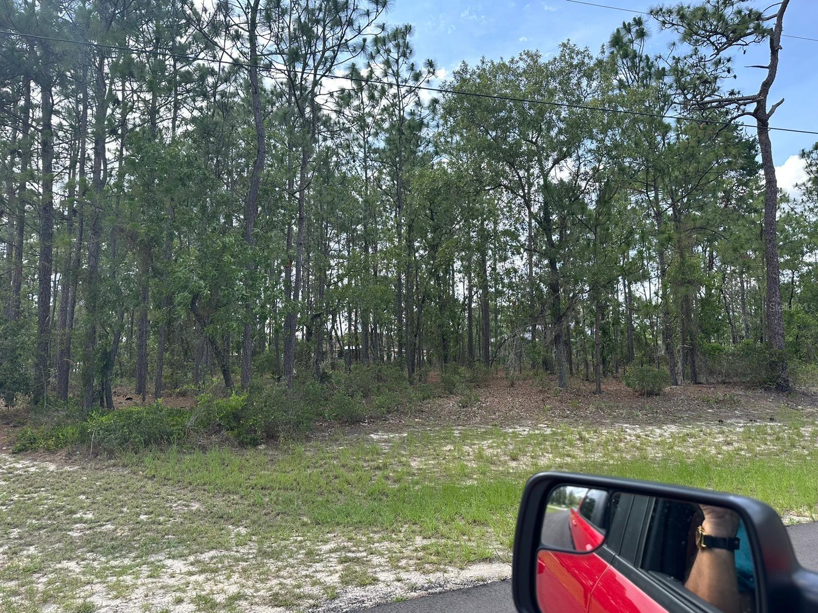 This is the perfect lot to build your dream home or to invest in Ocala! you will definitely enjoy the delightful atmosphere that the neighborhood has to offer! Don’t miss this opportunity!