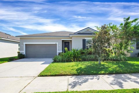 Photo of 446 Autumn Stream Drive, Auburndale, FL 33823 (MLS # O6352967)