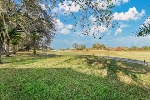 A home in EUSTIS