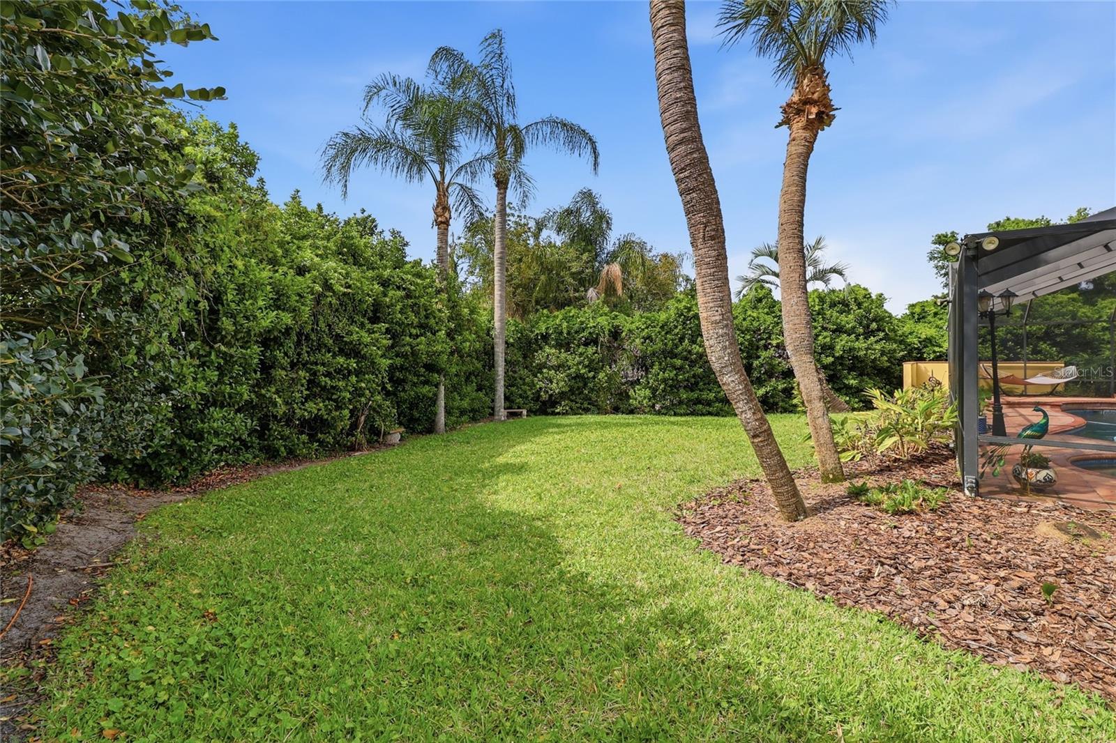 PIER POINT - Residential