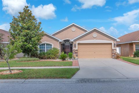 14233 EDINBURGH MOOR DRIVE WIMAUMA FL 33598
