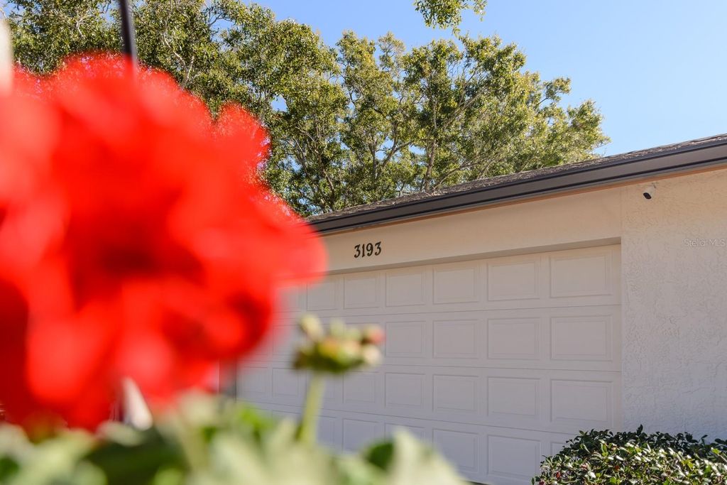 Photo of 3193 Sandy Ridge Drive, Clearwater, FL 33761 (MLS # TB8457388)