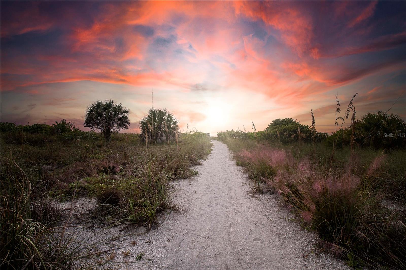 BAY TREE CLUB - Residential Lease