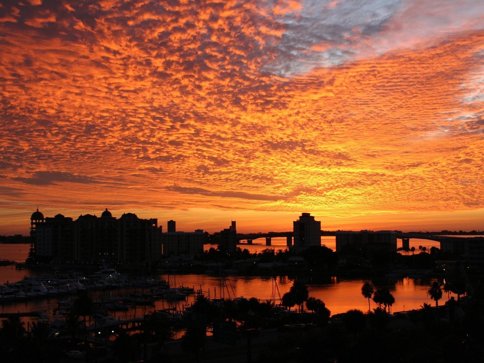 BAY PLAZA - Residential