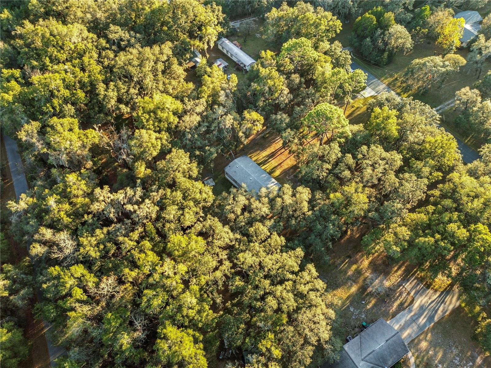 FOREST LAKE NORTH - Residential