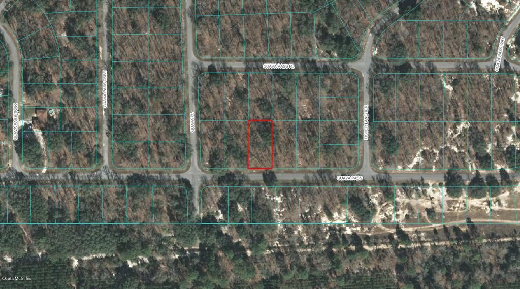 Photo of 00 Guava Pass, Ocklawaha, FL 32179 (MLS # OM523097)