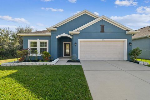 8213 BARNSIDE VIEW LANE GIBSONTON FL 33534
