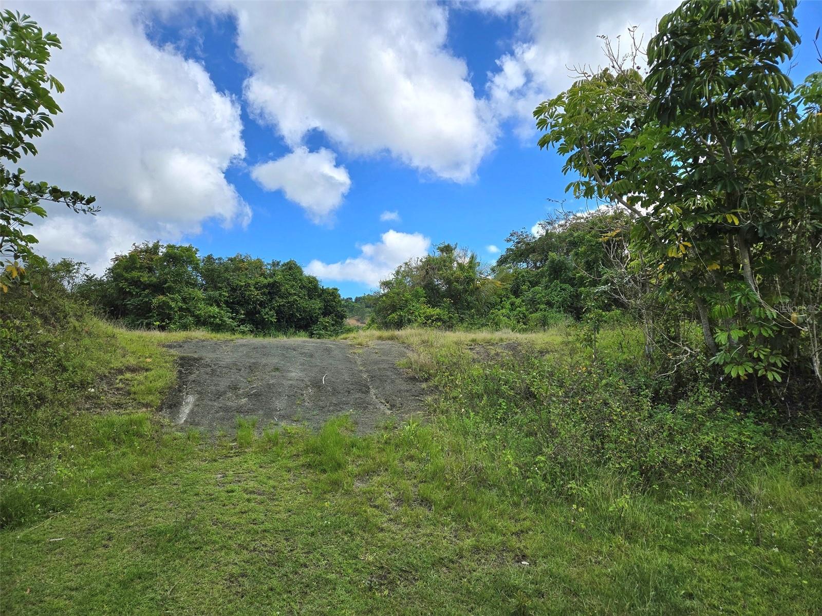 PASTO WARD - Land