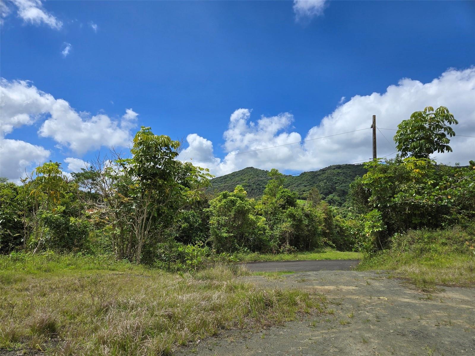 PASTO WARD - Land