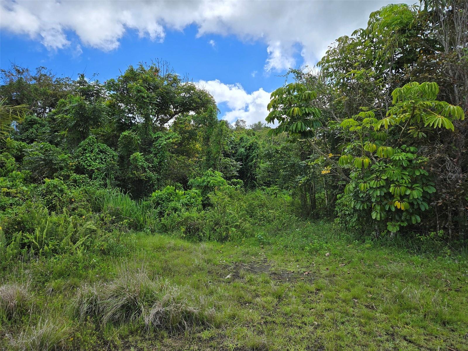 PASTO WARD - Land