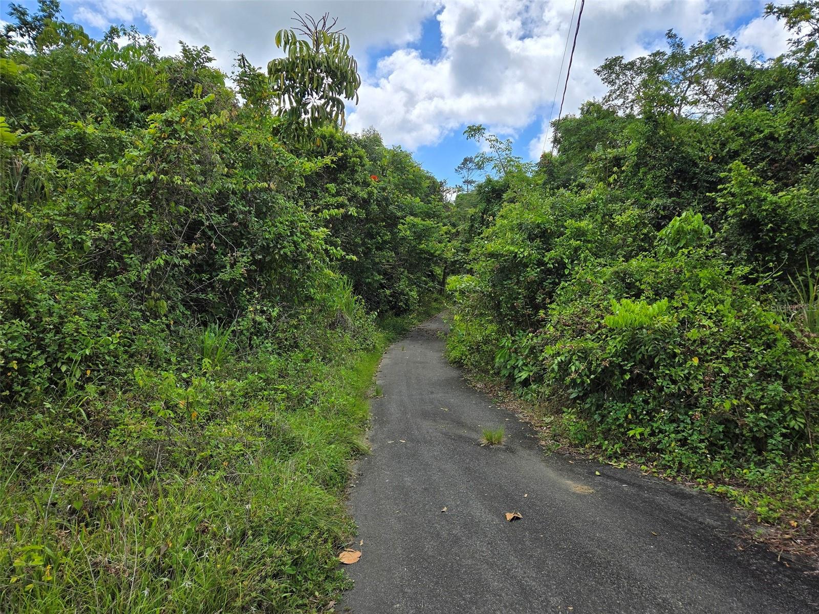 PASTO WARD - Land