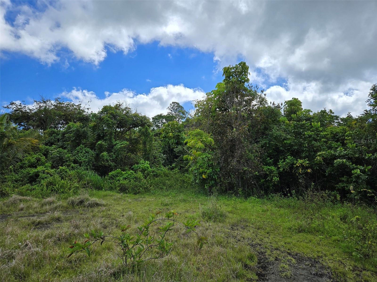 PASTO WARD - Land