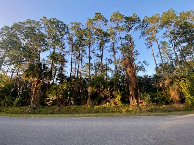 Great Opportunity to own a 100% "UPLAND LOT" in Golden Gate Estate. Beautiful Naples Florida. 2.27 Acres 150'x 662', partial clean. This area is growing quickly. NO HOA. Just minutes from the beautiful beach of Naples, schools, new food stores, and many mores. plenty of room to build you Dream Home with pool and guest house. There are many items from the sellers that will picked up before closing. There are not convey with the sale.